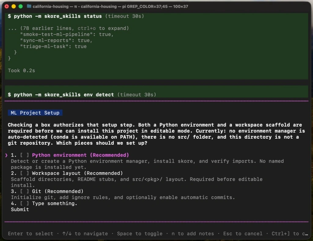 Terminal showing project setup choices for a Python environment, workspace layout, and git